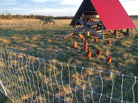 Enright Harvest Acres Farm