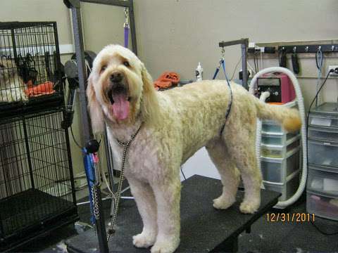 Smiths Falls Pet Grooming